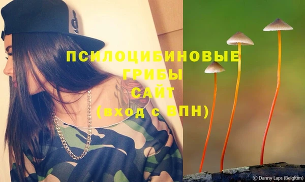 ECSTASY Абаза